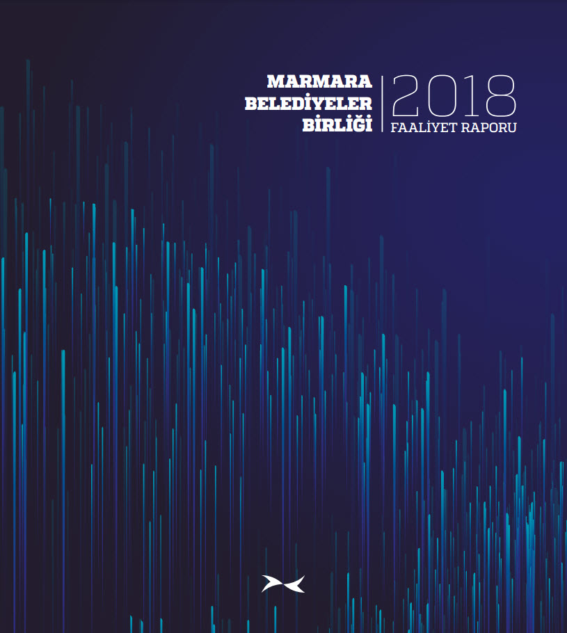 2018 Yılı Faaliyet Raporu