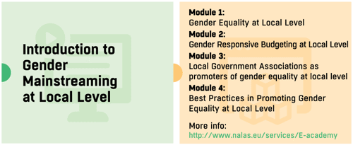 Yerelde Toplumsal Cinsiyet Eşitliğine Giriş Online Eğitimi Kayıtları Başladı