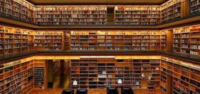 İdeal Kütüphane Standartları: Sorunlar ve Çözüm Önerileri Çalıştayı}