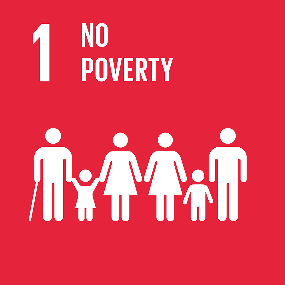 1- No Poverty