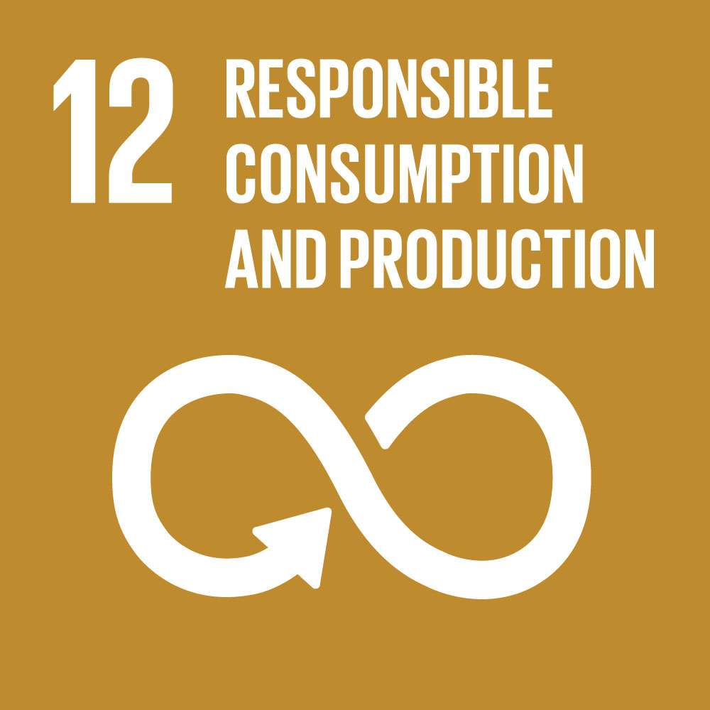 12- Responsible Consumption And Production