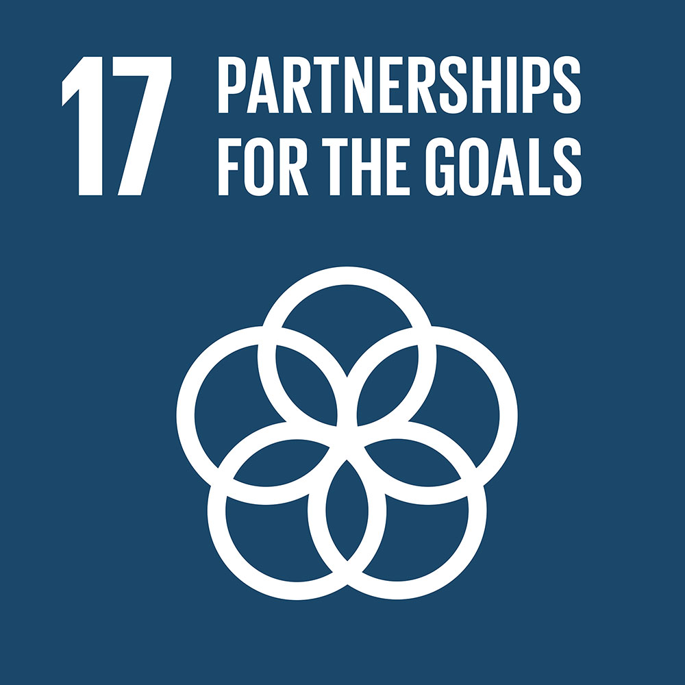 17- Partnerships For The Goals